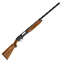 IGNIS .30-06 пластик